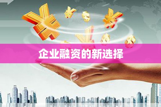 富裕企业融资的新选择