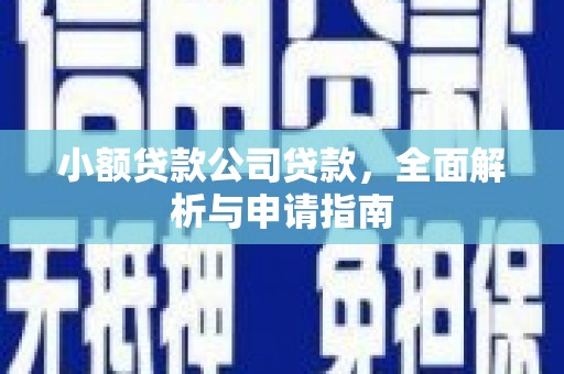 富裕小额贷款公司贷款，全面解析与申请指南