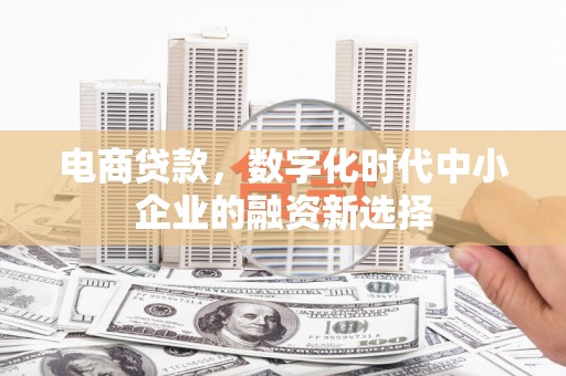 富裕电商贷款，数字化时代中小企业的融资新选择