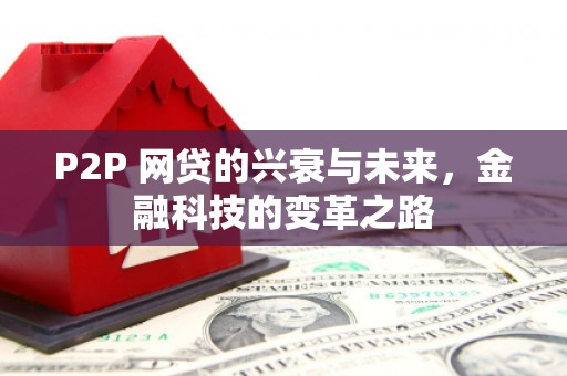 富裕P2P 网贷的兴衰与未来，金融科技的变革之路