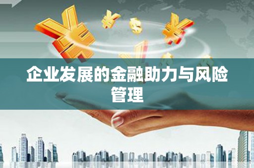 富裕企业发展的金融助力与风险管理