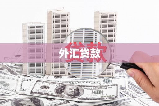 富裕外汇贷款