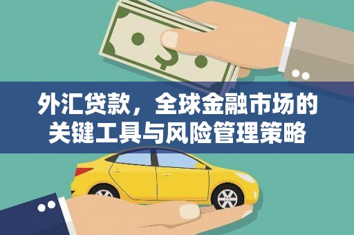 富裕外汇贷款，全球金融市场的关键工具与风险管理策略