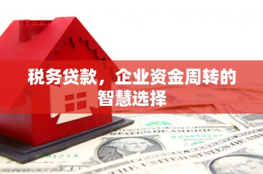富裕税务贷款，企业资金周转的智慧选择