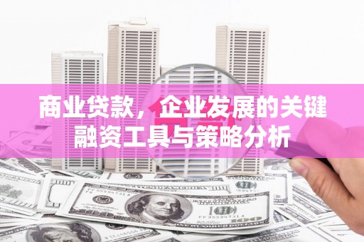 富裕商业贷款，企业发展的关键融资工具与策略分析