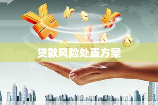 富裕贷款风险处置方案