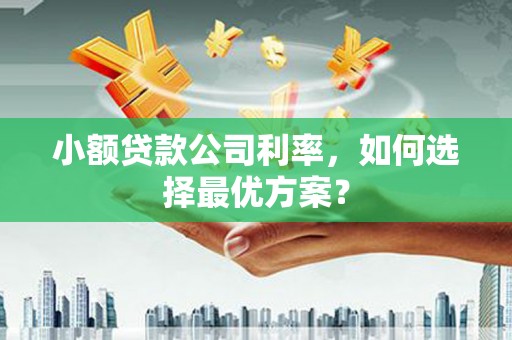 富裕小额贷款公司利率，如何选择最优方案？