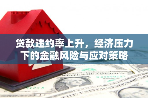 富裕贷款违约率上升，经济压力下的金融风险与应对策略