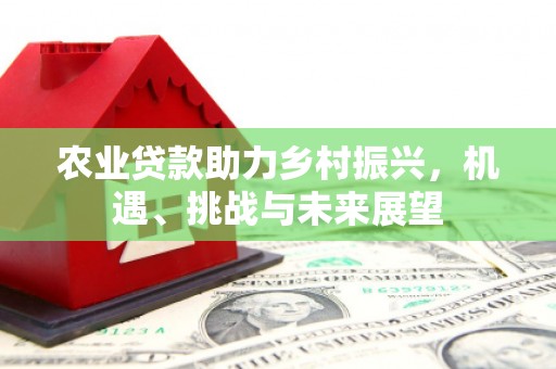 富裕农业贷款助力乡村振兴，机遇、挑战与未来展望