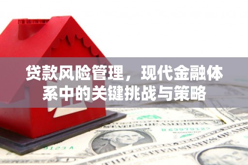 富裕贷款风险管理，现代金融体系中的关键挑战与策略