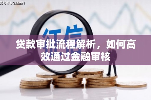 富裕贷款审批流程解析，如何高效通过金融审核