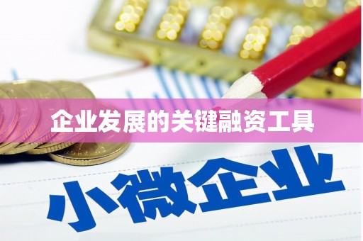 富裕企业发展的关键融资工具
