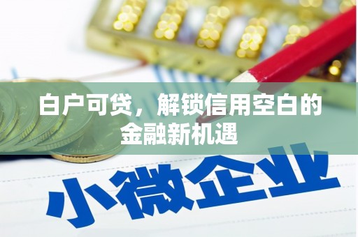 富裕白户可贷，解锁信用空白的金融新机遇
