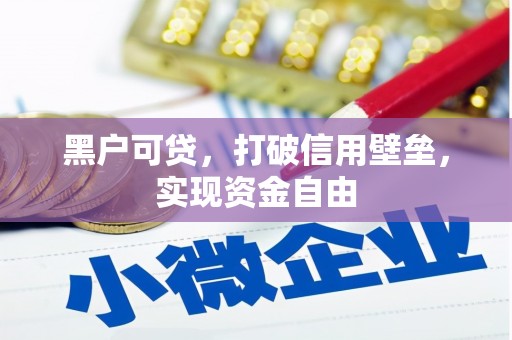 富裕黑户可贷，打破信用壁垒，实现资金自由