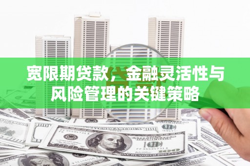 富裕宽限期贷款，金融灵活性与风险管理的关键策略
