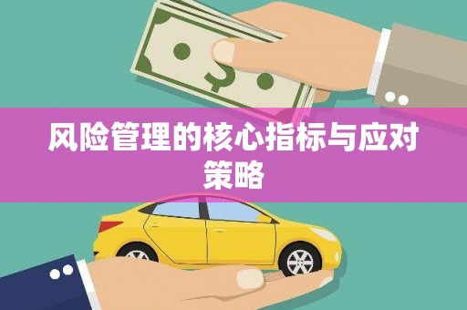 富裕风险管理的核心指标与应对策略