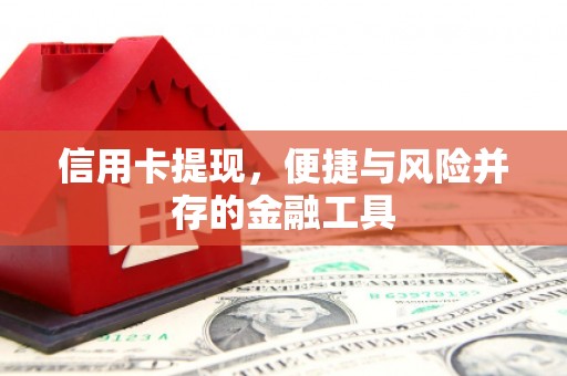 富裕信用卡提现，便捷与风险并存的金融工具