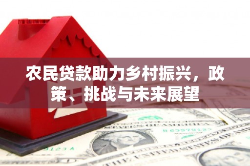 富裕农民贷款助力乡村振兴，政策、挑战与未来展望