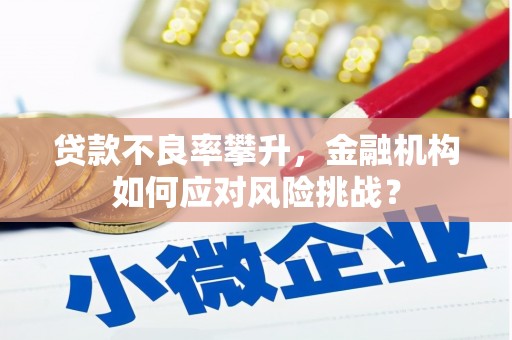 富裕贷款不良率攀升，金融机构如何应对风险挑战？