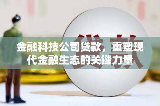 富裕金融科技公司贷款，重塑现代金融生态的关键力量