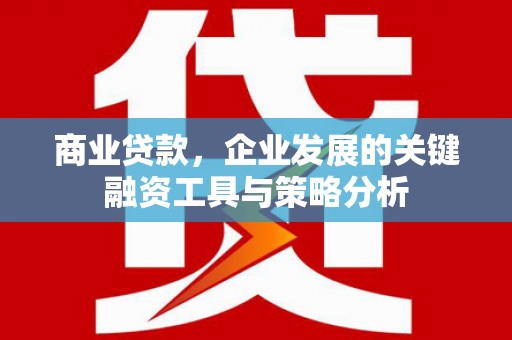 富裕商业贷款，企业发展的关键融资工具与策略分析
