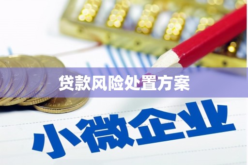 富裕贷款风险处置方案
