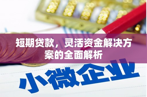 富裕短期贷款，灵活资金解决方案的全面解析