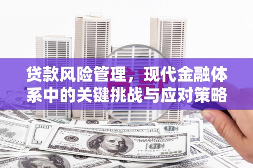 富裕贷款风险管理，现代金融体系中的关键挑战与应对策略