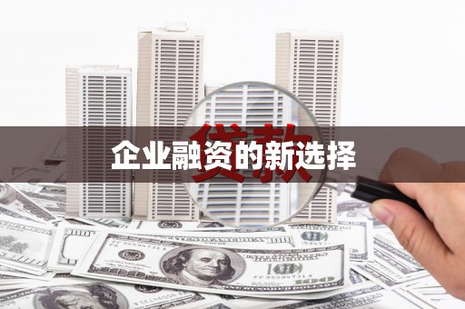 富裕企业融资的新选择