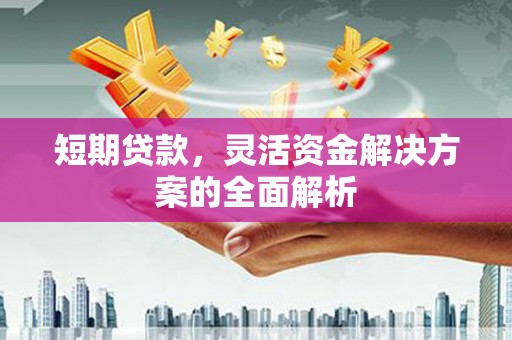 富裕短期贷款，灵活资金解决方案的全面解析