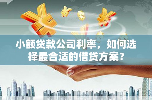 富裕小额贷款公司利率，如何选择最合适的借贷方案？