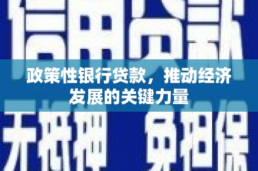 富裕政策性银行贷款，推动经济发展的关键力量