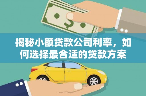 富裕揭秘小额贷款公司利率，如何选择最合适的贷款方案