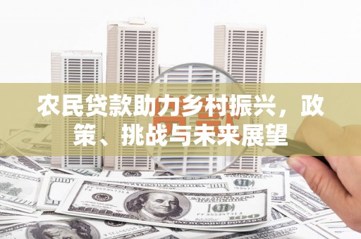 富裕农民贷款助力乡村振兴，政策、挑战与未来展望