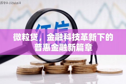 富裕微粒贷，金融科技革新下的普惠金融新篇章