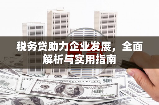 富裕税务贷助力企业发展，全面解析与实用指南