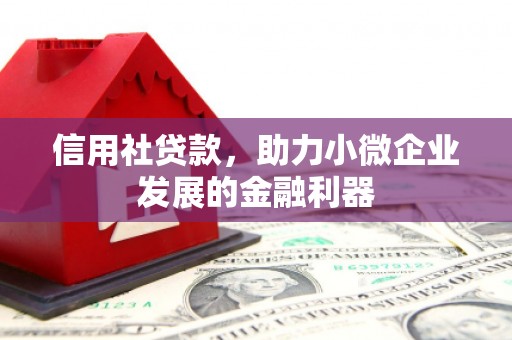 富裕信用社贷款，助力小微企业发展的金融利器