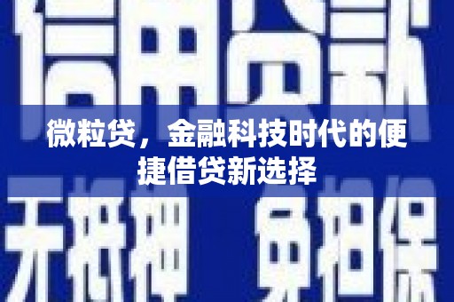 富裕微粒贷，金融科技时代的便捷借贷新选择
