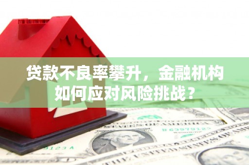富裕贷款不良率攀升，金融机构如何应对风险挑战？