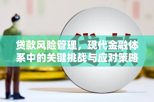 富裕贷款风险管理，现代金融体系中的关键挑战与应对策略