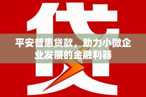 富裕平安普惠贷款，助力小微企业发展的金融利器