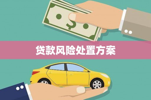 富裕贷款风险处置方案