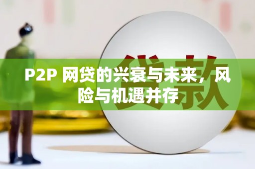 富裕P2P 网贷的兴衰与未来，风险与机遇并存