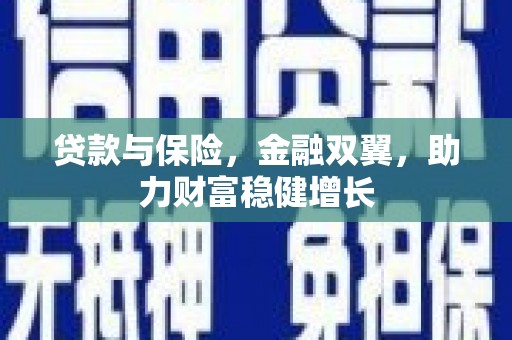 富裕贷款与保险，金融双翼，助力财富稳健增长