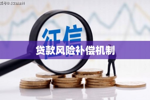 富裕贷款风险补偿机制