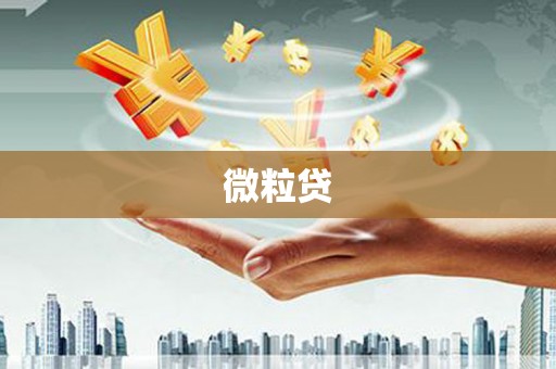 富裕微粒贷