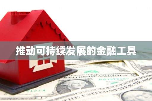 富裕推动可持续发展的金融工具