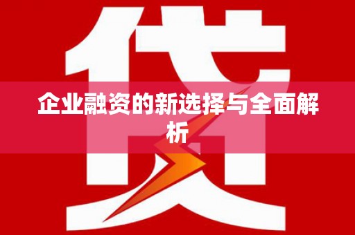 富裕企业融资的新选择与全面解析