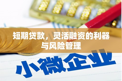富裕短期贷款，灵活融资的利器与风险管理